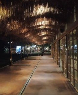 Pison Coffee & Cafe Ubud, Bali